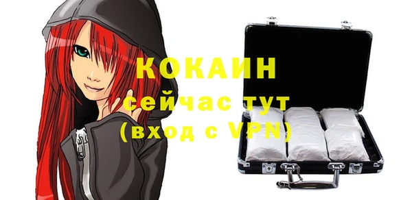 дурь Осташков