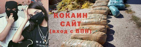 дурь Осташков