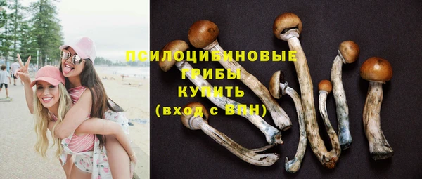 винт Абинск