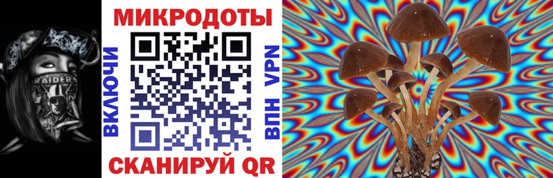 наркотики  Вилючинск  Псилоцибиновые грибы Magic Shrooms 